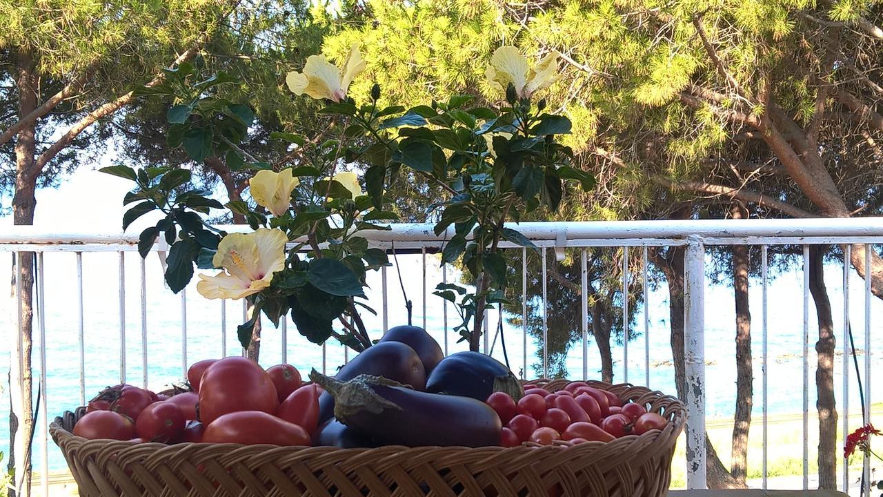 Villa Elvira Country House ベルヴェデーレ・マリッティモ エクステリア 写真